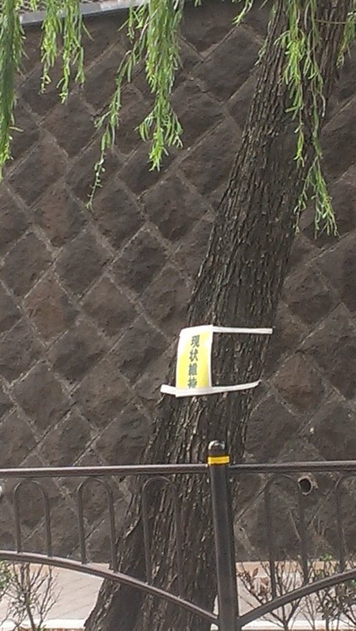 f0019846_130597.jpg
