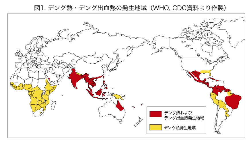 旅行医学からみるデング熱_b0102247_21393728.gif