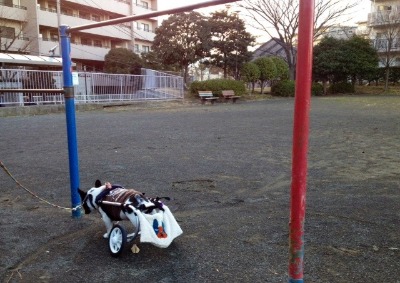 くまモンを見る空だもん。_b0307951_23214910.jpg