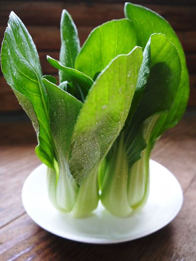 チンゲン菜 無農薬・無加温チンゲン菜 販売スタート!!_a0254656_1835205.jpg