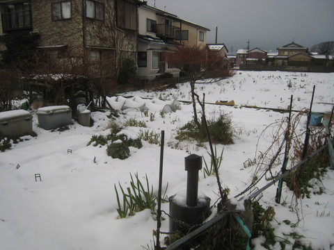 e0121558_22312387.jpg
