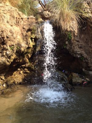 free hot spring at Dead Sea_e0107561_20192984.jpg