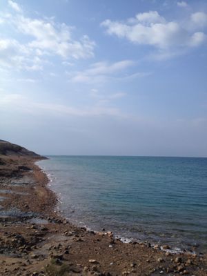 free hot spring at Dead Sea_e0107561_20193616.jpg