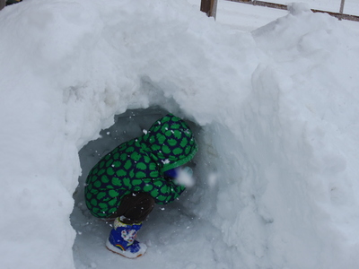大雪2 1・11_e0019167_8361245.jpg