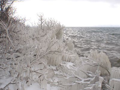 1月11日のしぶき氷_a0096989_17242260.jpg