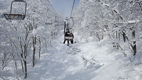 e0015490_21322933.jpg