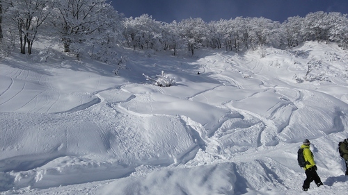 e0015490_2137321.jpg