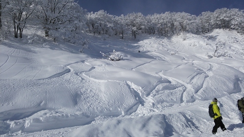 140111関温泉スキー場(20回目)_e0015490_2137321.jpg