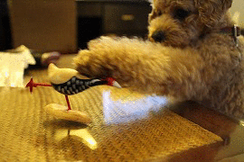 e0227996_22295661.gif