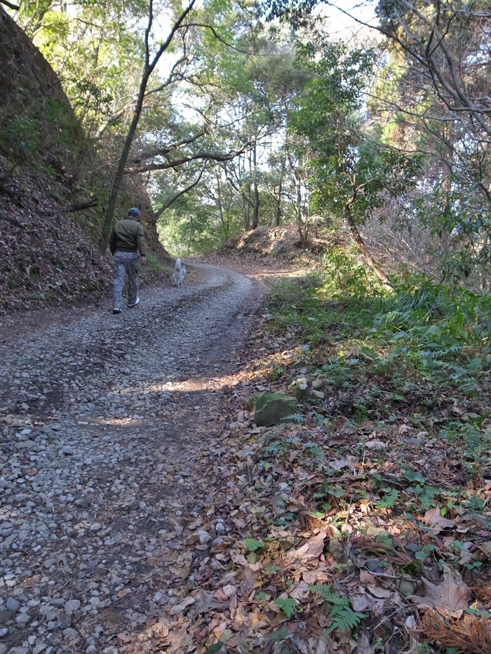 c0049299_1982586.jpg
