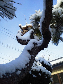 c0272200_10244385.jpg