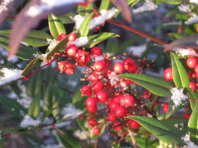 c0272200_1024843.jpg