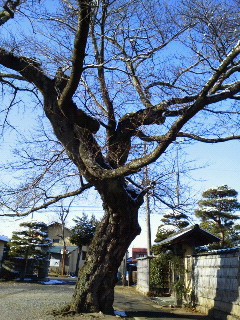 c0272200_10271020.jpg
