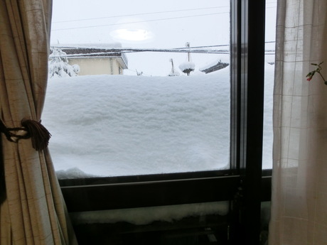 降ったる雪かな・雀食堂繁盛_a0203003_9122717.jpg