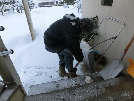 降ったる雪かな・雀食堂繁盛_a0203003_912571.jpg