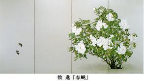 星星會展　＠Takashimaya_b0044404_19271359.jpg