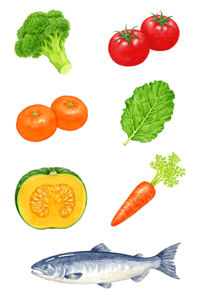 野菜 果物 魚 ７種 イラストレーター 川副美紀 Miki Kawazoe Illustrations Watercolor Colored Pencil