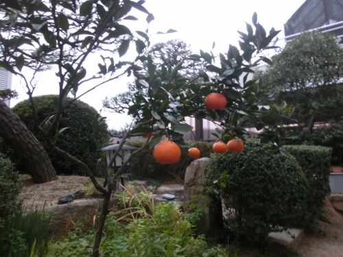 c0016407_652922.jpg