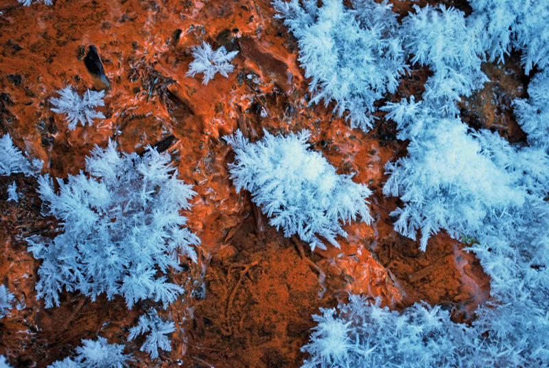 d0051707_16084869.jpg
