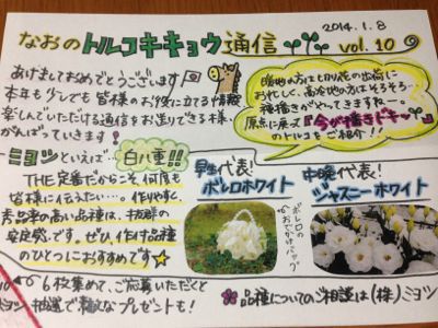 なおのトルコキキョウ通信_d0099708_9504968.jpg