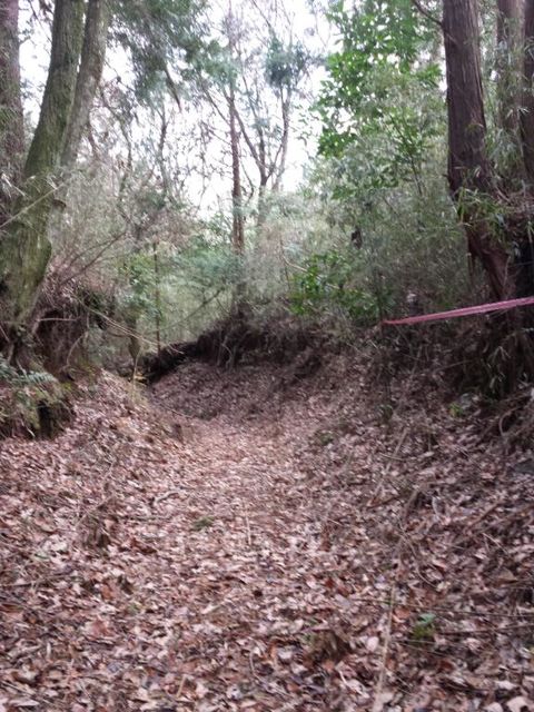 e0015108_16584480.jpg