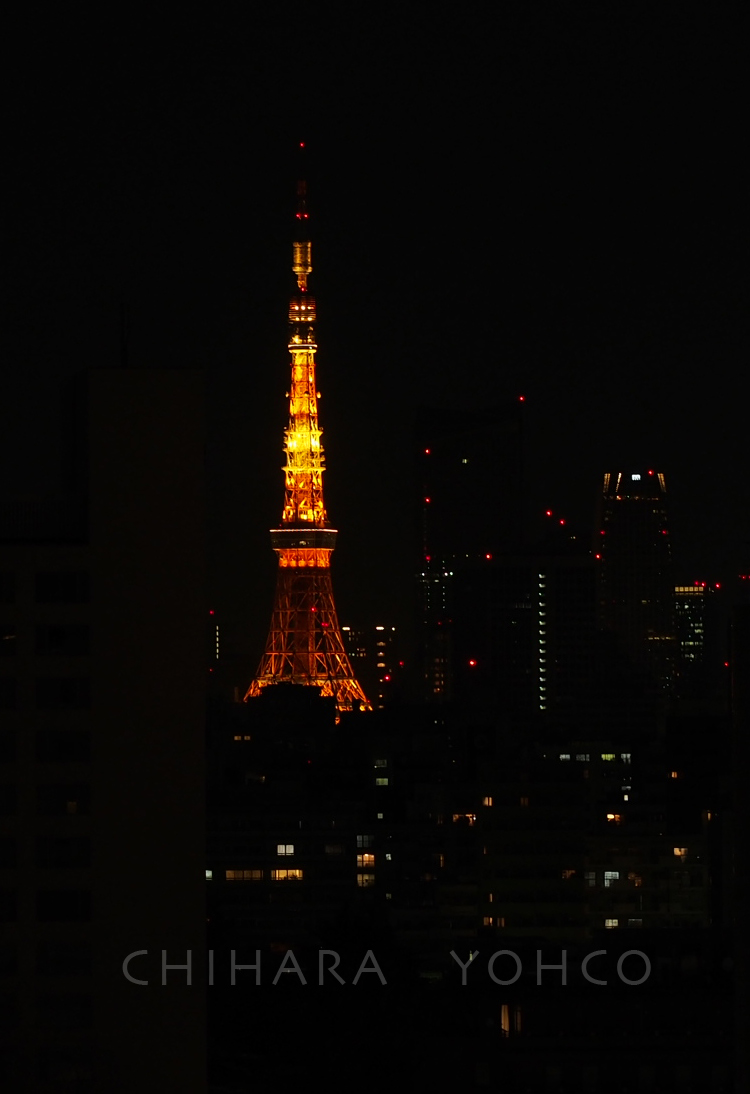 20140112  東京タワー_b0025511_22140021.jpg