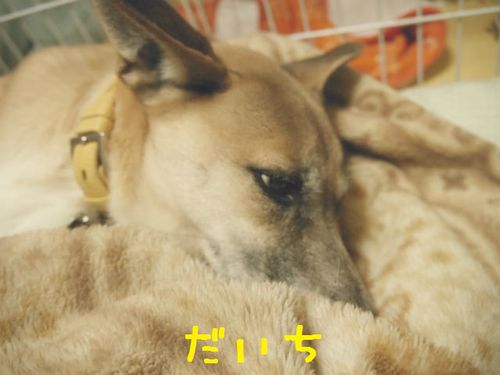 f0218911_10485673.png