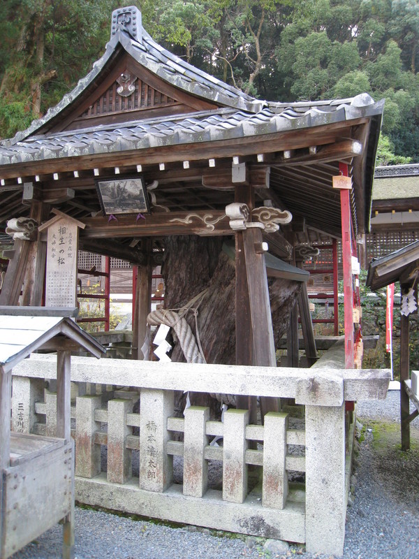 松尾大社(まつのおたいしゃ)①_d0287413_1702838.jpg