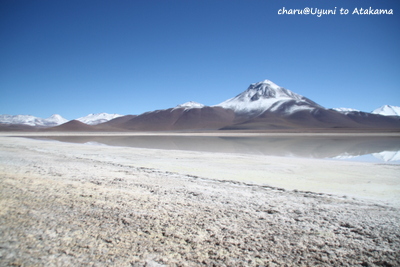 1/8 Laguna Colorada Peru_d0074518_1231436.jpg