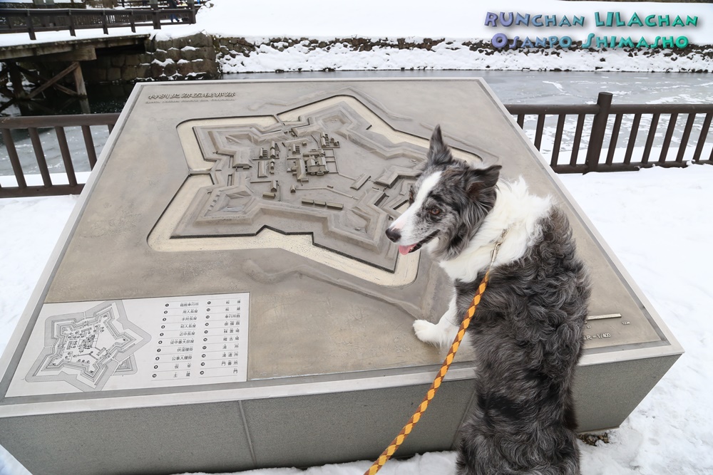 　五稜郭も雪景色～♪_b0192121_1452199.jpg