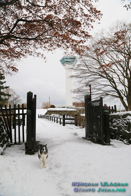 　五稜郭も雪景色～♪_b0192121_1462217.jpg