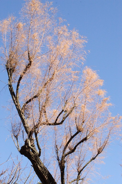 b0230131_903287.jpg