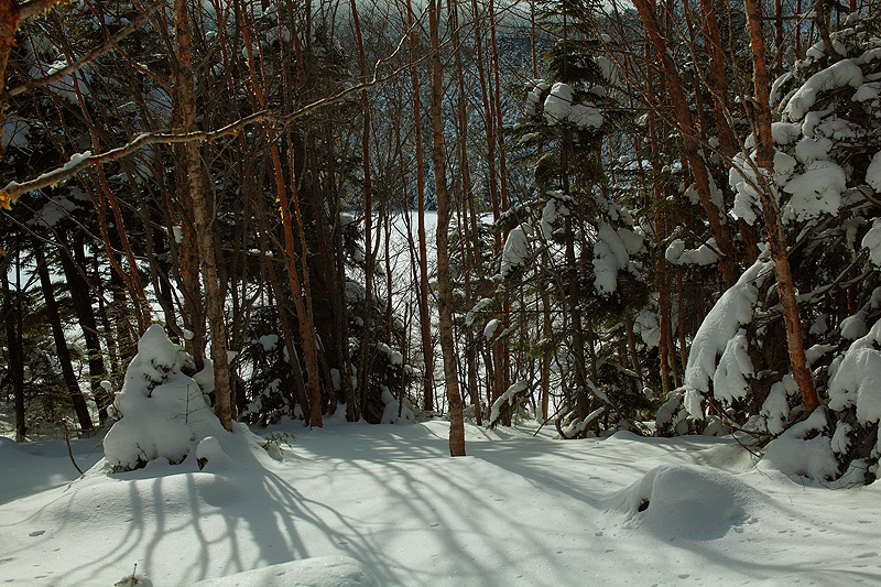 c0313231_19122743.jpg