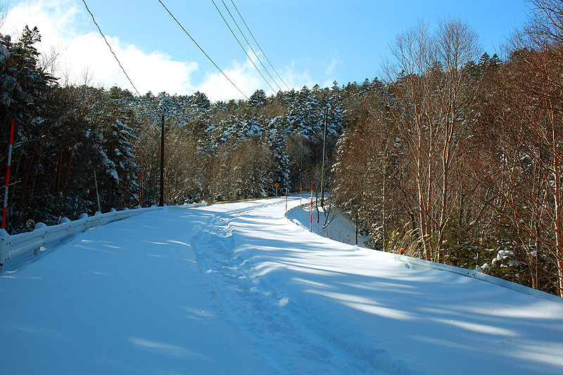 c0313231_1913717.jpg