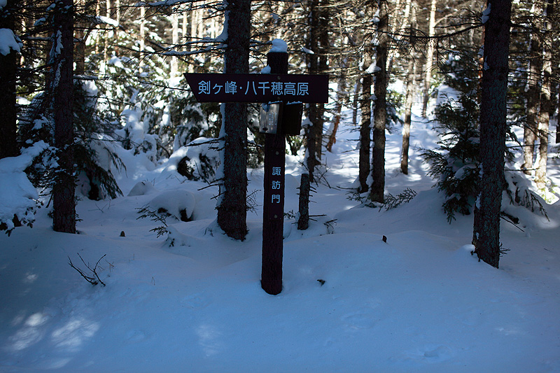 c0313231_19141816.jpg