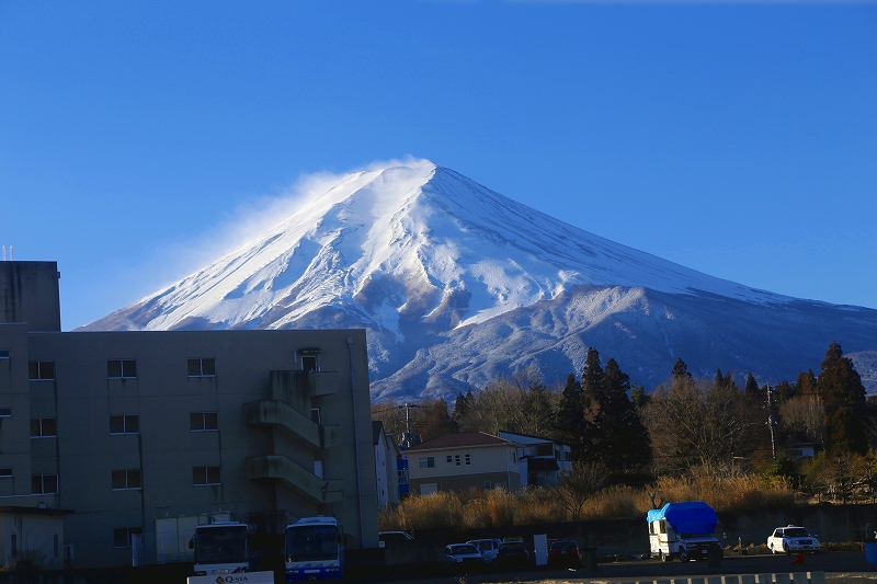 f0229832_8444965.jpg