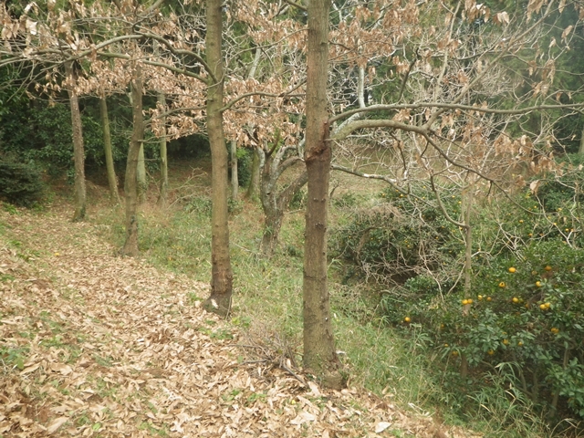 a0272033_2211125.jpg
