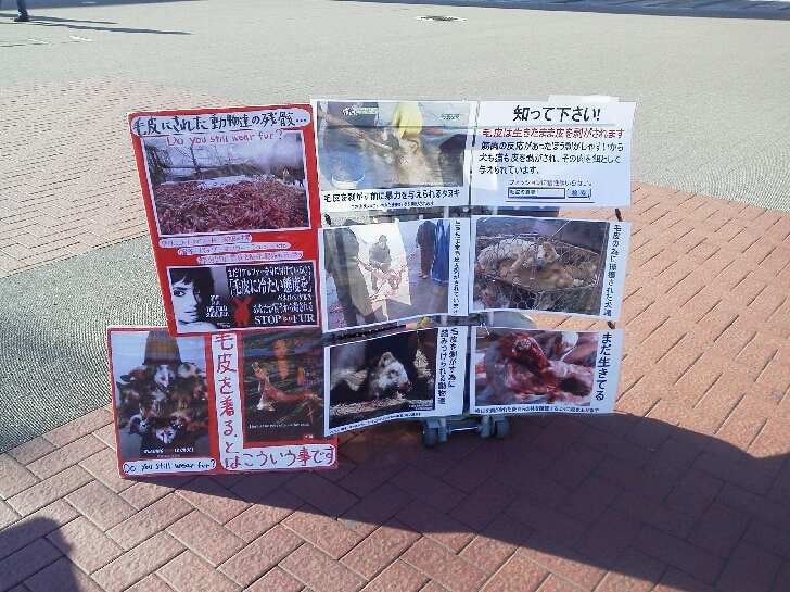 1月11日 動物問題パネル展in桜木町_c0325437_22571620.jpg