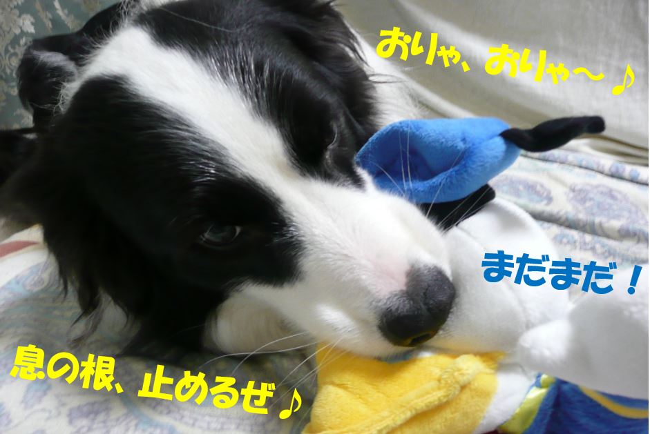 c0147241_17493274.jpg
