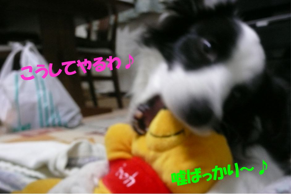 c0147241_17494920.jpg