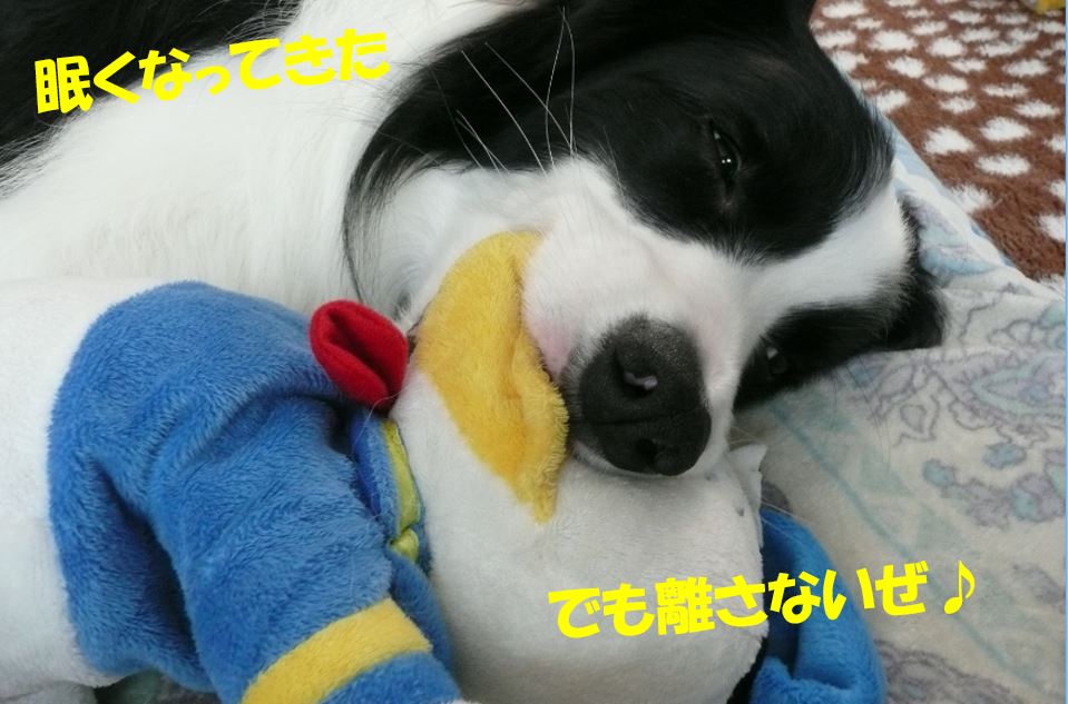 c0147241_17501371.jpg