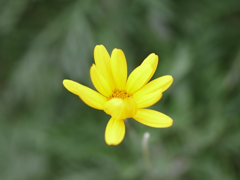 e0100046_20233.jpg