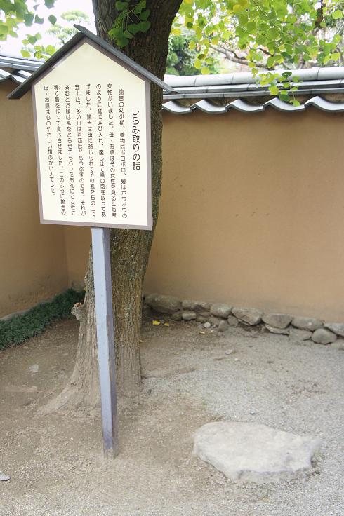 e0295348_143358.jpg
