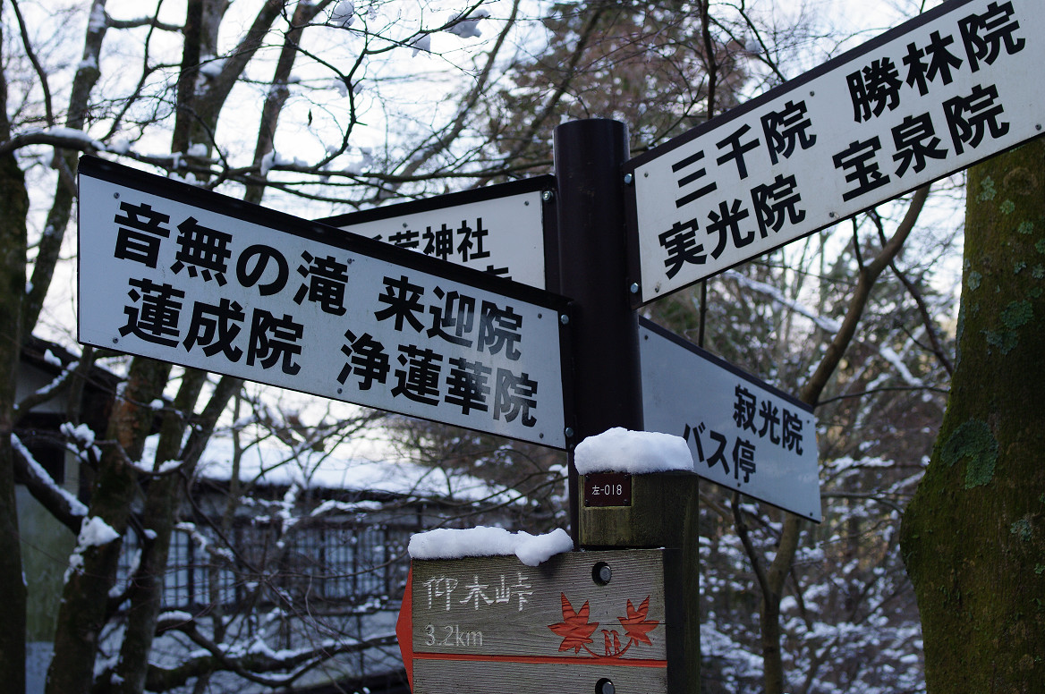 f0152550_1123364.jpg