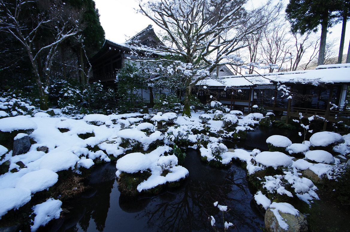 大原 三千院　〜前編〜_f0152550_11261469.jpg