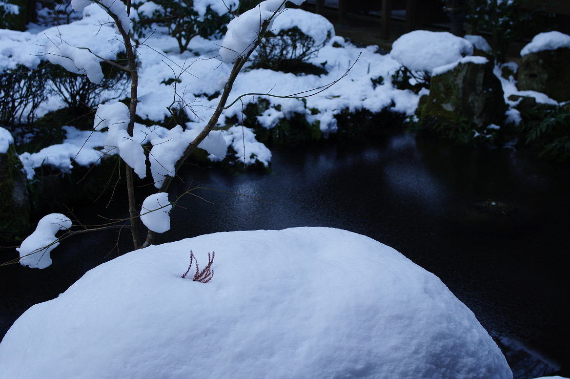 大原 三千院　〜前編〜_f0152550_11262732.jpg