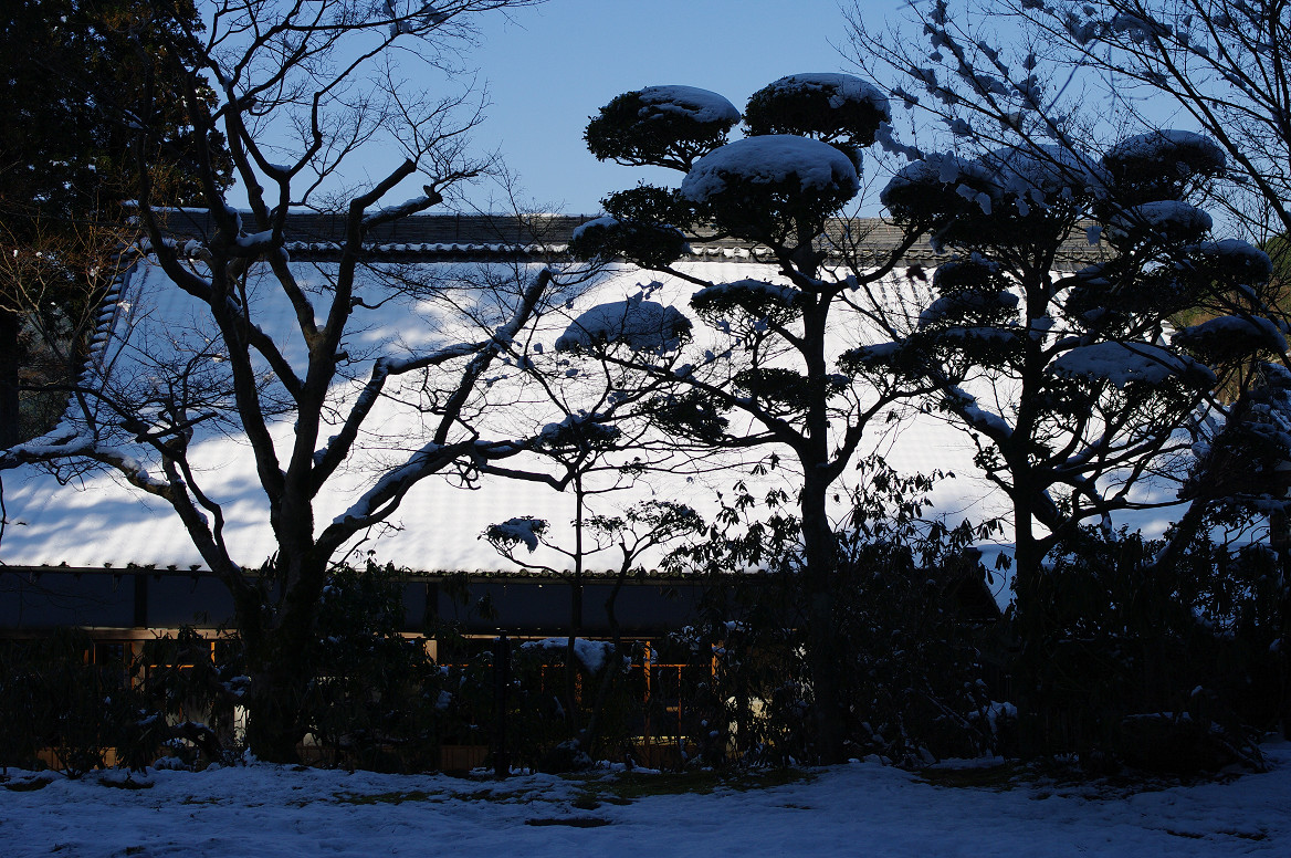 f0152550_17252225.jpg