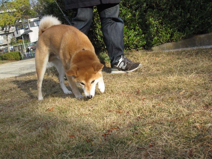 f0245650_8393331.jpg