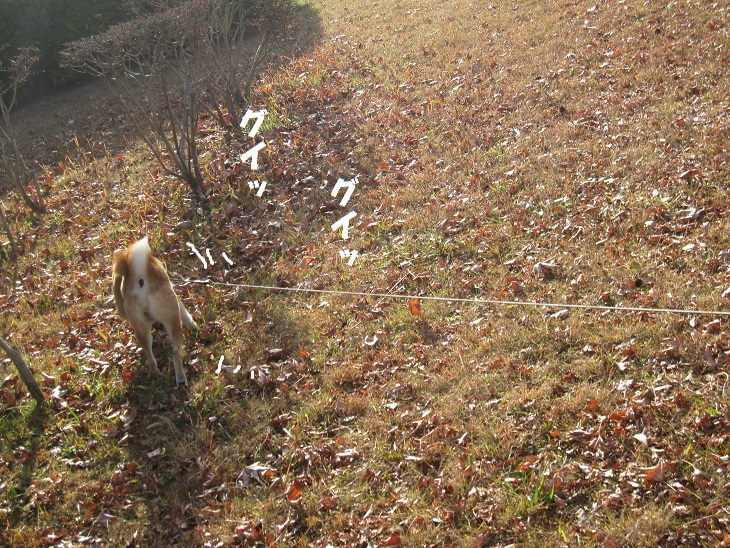 f0245650_8484162.jpg