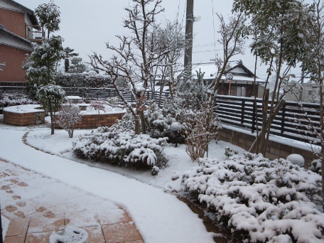 初雪_b0100062_175553.jpg